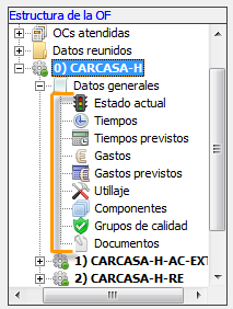 Vista de datos de la OF extendida