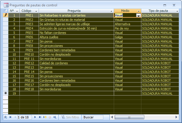 Preguntas para las pautas de control