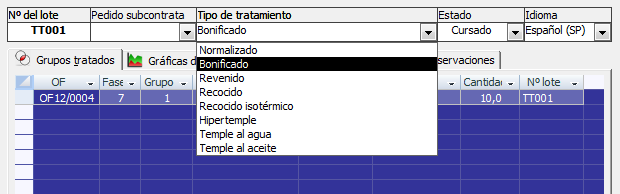 Ficha del lote de tratamiento térmico